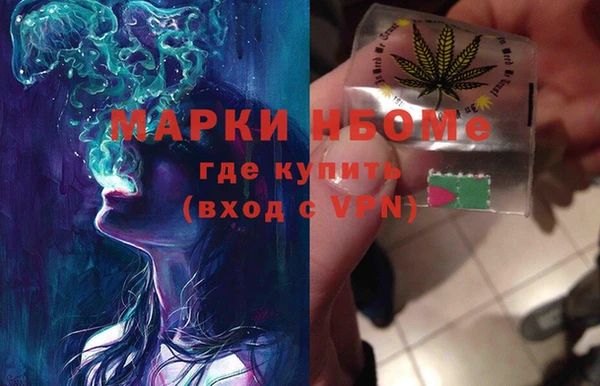 индика Дмитровск