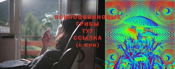 гашиш Няндома